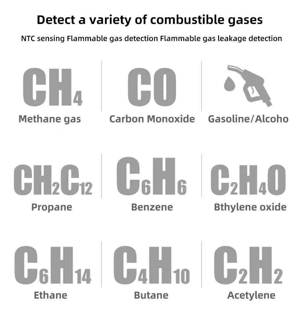 Detector De Gases Combustibles G1 Portátil Usb-C Regargable